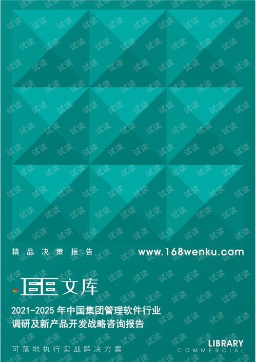 2021-2025年中国集团管理软件行业调研及新产品开发战略咨询报告
